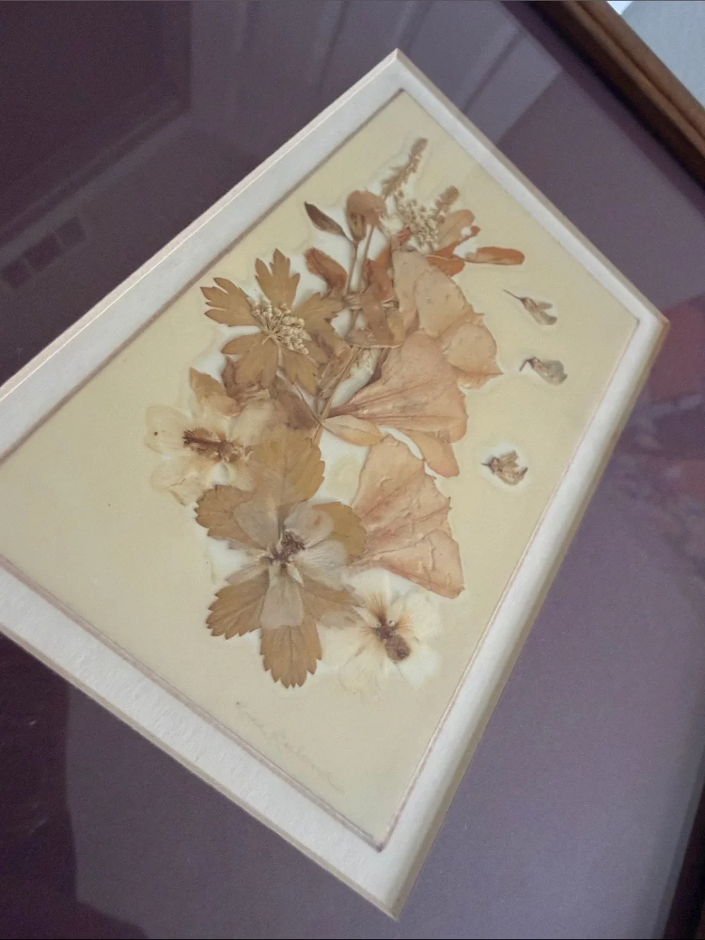 Vintage 8 x 10 Pressed Dried Floral Art Frame